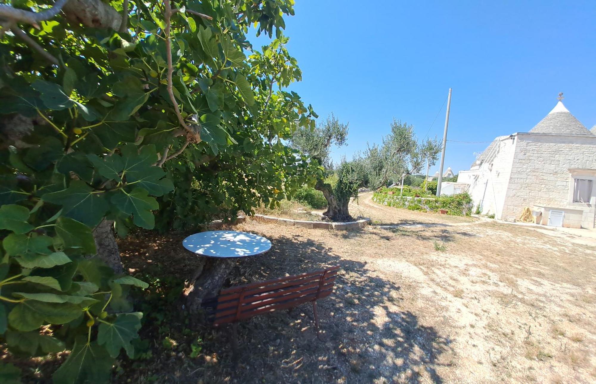 Trulli Carlo Anna Villa Locorotondo Exterior photo